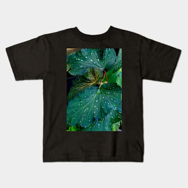 ornamental plants Kids T-Shirt by likbatonboot